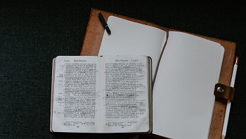 对话式文本采集