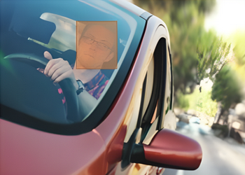 驾驶员面部标注